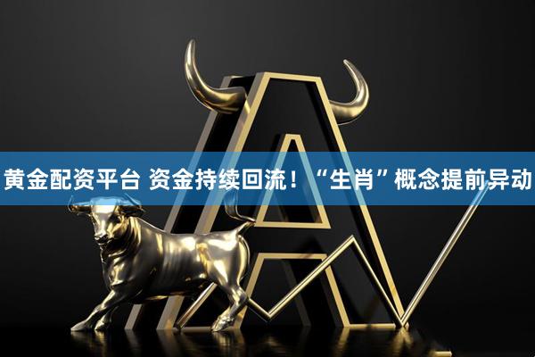 黄金配资平台 资金持续回流！“生肖”概念提前异动